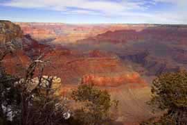 A view of the red rocks in the Grand Canyon