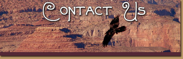 A raven flying over the Grand Canyon